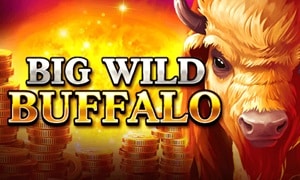 Big Wild Buffalo